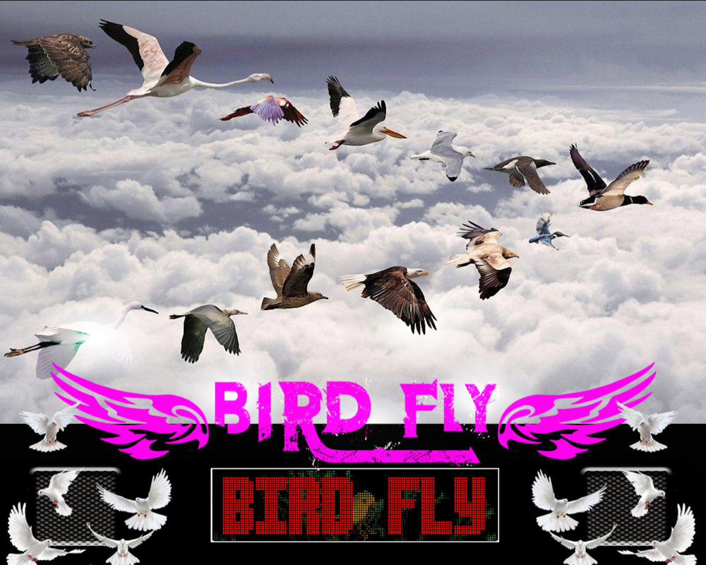 Bird_Fly.PNG
