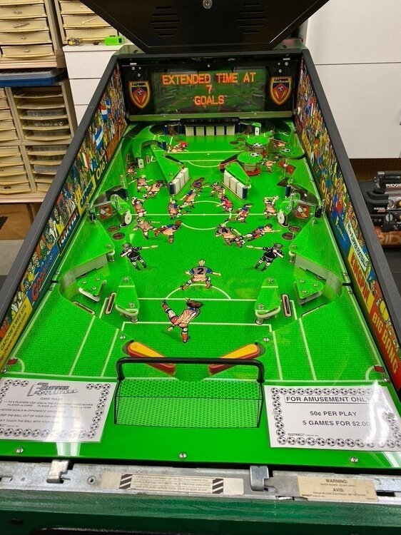flipper football.jpg