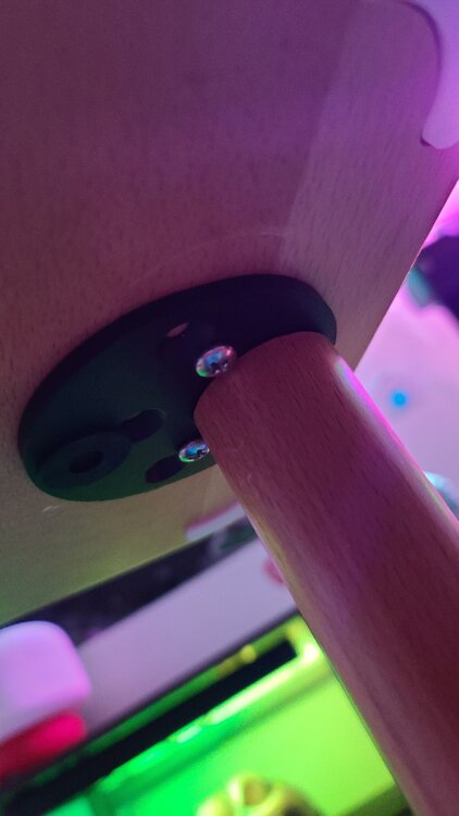 20250614_215600.thumb.jpg.f6605c793cba3d96f8f535c8e06737a0.jpg