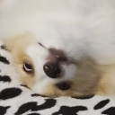 Eduardo