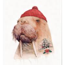 ZeWalrus