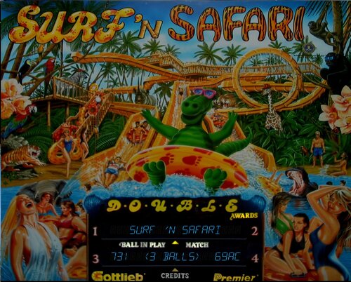 More information about "SurfNSafari"