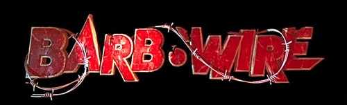 More information about "Barb Wire (Gottleb 1996) Topper Video - 1280x390"