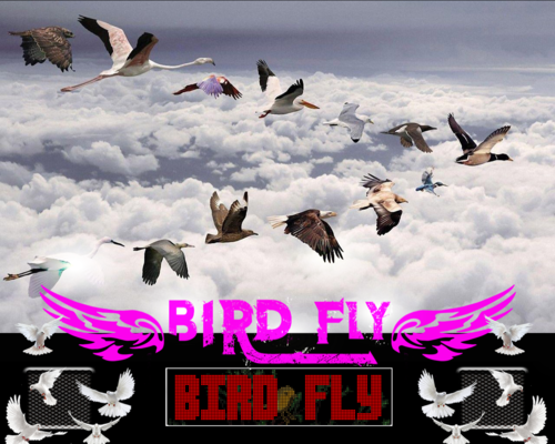 More information about "Bird_Fly"