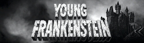 More information about "Young Frankenstein (Original 2021) Topper Video - 1280x390"
