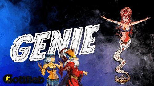 More information about "Genie (Gottlieb 1979)"