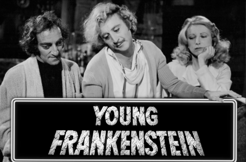 More information about "Young Frankenstein Full DMD"