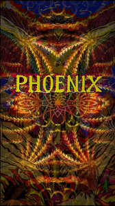 More information about "Phoenix (Williams 1978) - Loading"