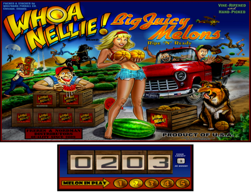 More information about "Whoa Nellie 3 Screen B2S (full DMD)"