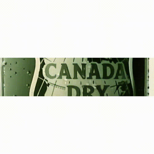 More information about "Canada Dry (Gottlieb 1976) - DMD"