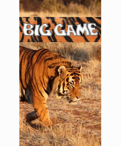 More information about "Big Game (Stern 1980) - Loading"