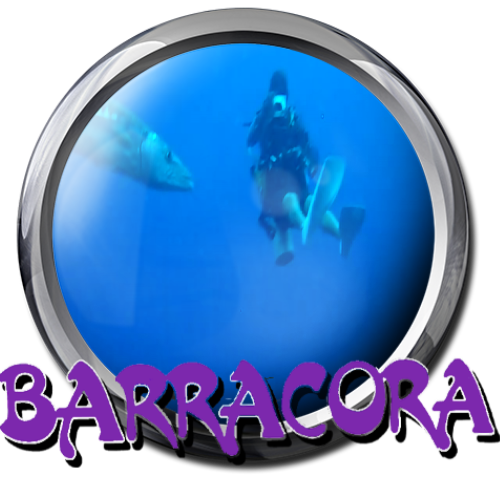 More information about "Barracora"