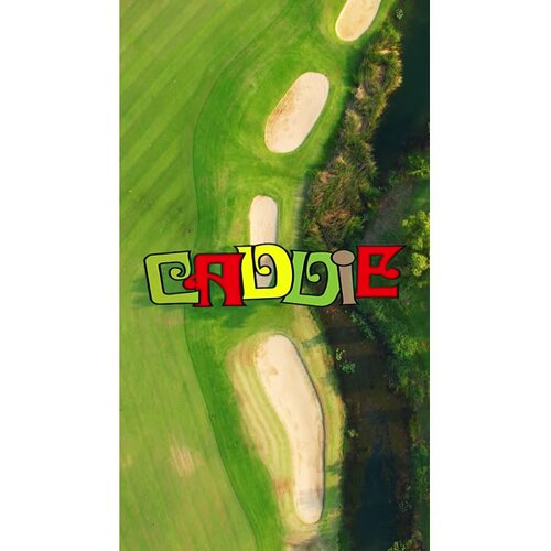 More information about "Caddie (Playmatic 1975) - Loading"
