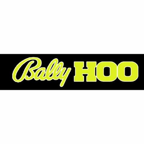 More information about "Bally Hoo (Bally 1969) - Real DMD Video"
