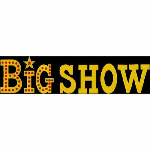 More information about "Big Show (Bally 1974) - Real DMD Video"