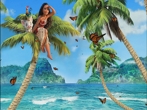 More information about "Moana/Vaiana Full DMD videos"