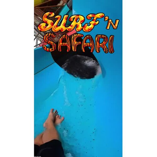 More information about "Surf 'n Safari (Gottlieb 1991) - Loading"
