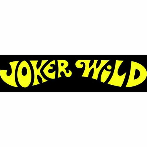 More information about "Joker Wild (Bally 1970) - Real DMD Video"