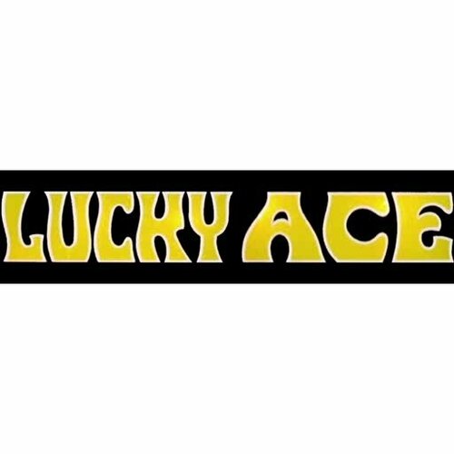 More information about "Lucky Ace (Williams 1974) - Real DMD Video"