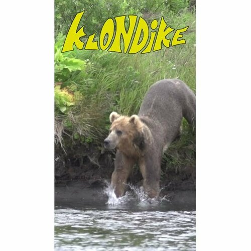More information about "Klondike (Williams 1971) - Loading"