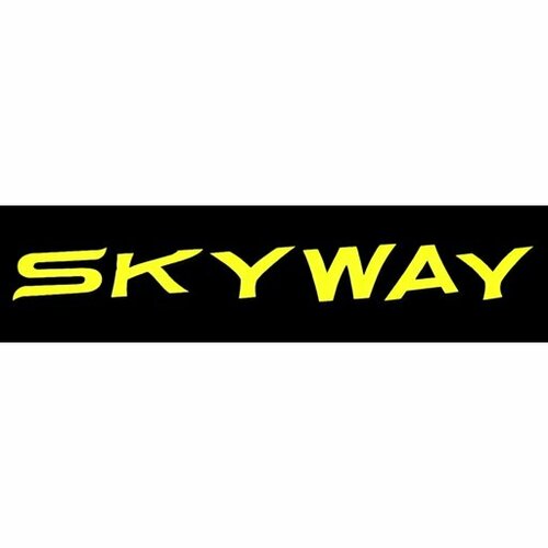 More information about "Skyway (Williams 1954) - Real DMD Video"