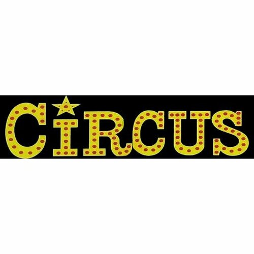 More information about "Circus (Bally 1973) - Real DMD Video"