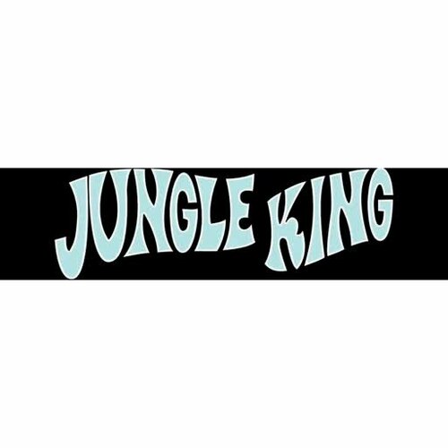 More information about "Jungle King (Gottlieb 1973) - Real DMD Video"