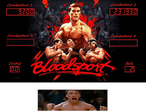 More information about "Bloodsport Backglass"