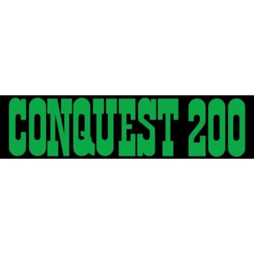 More information about "Conquest 200 (Playmatic 1976) - Real DMD Video"