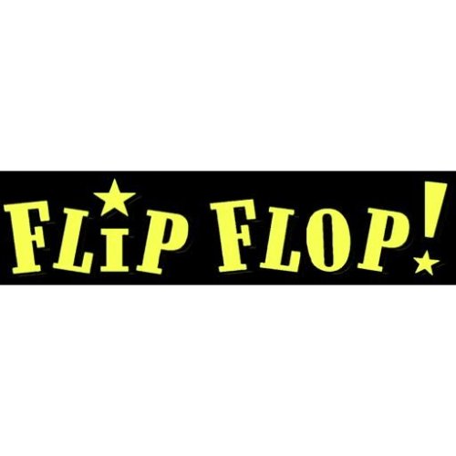 More information about "Flip Flop (Bally 1976) - Real DMD Video"