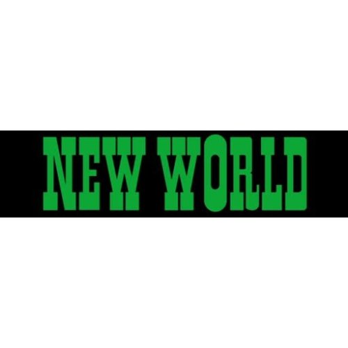 More information about "New World (Playmatic 1976) - Real DMD Video"