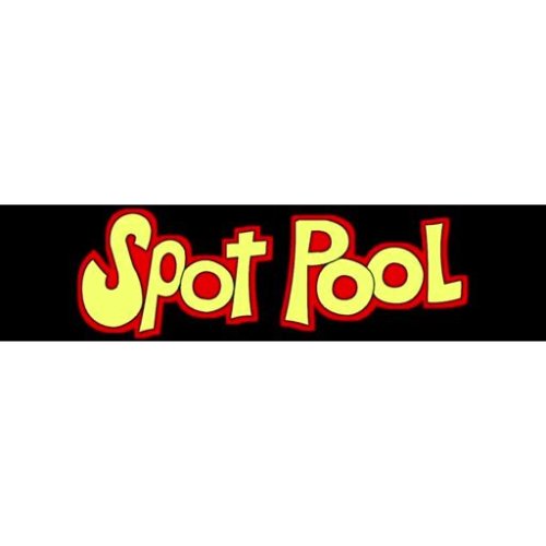 More information about "Spot Pool (Gottlieb 1976) - Real DMD Video"