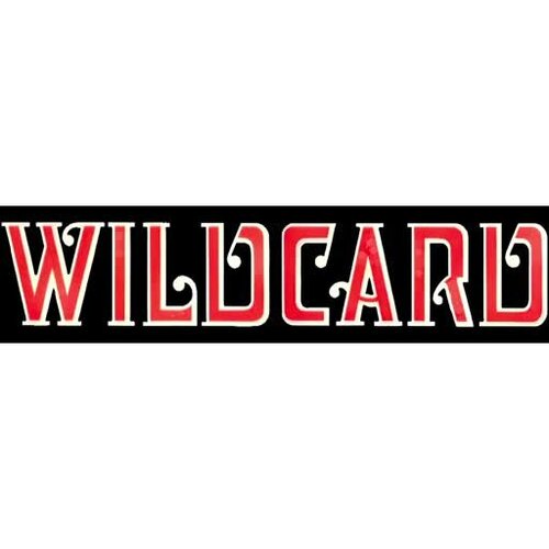More information about "Wild Card (Williams 1977) - Real DMD"