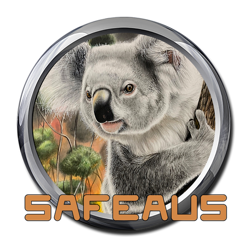 More information about "Safeaus Wheel"