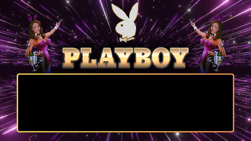 More information about "Playboy (Stern 2002) FullDMD Video"