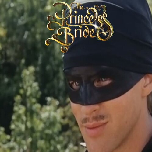 More information about "Princess Bride loading"
