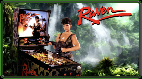 More information about "Raven (Gottlieb 1986) (Hursty Toppers)"