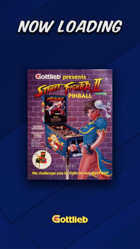 More information about "Street Fighter II (Gottlieb) - Rickochet Unified Loading Video"