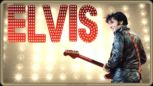 More information about "Elvis (Stern 2004) (Hursty Toppers)"