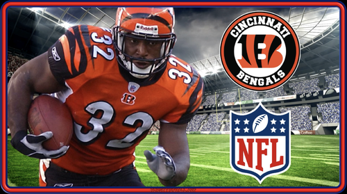 More information about "NFL Bengals (Hursty Toppers)"
