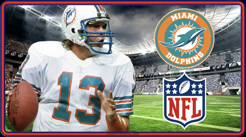 More information about "NFL Dolphins (Hursty Toppers)"