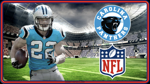 More information about "NFL Panthers (Hursty Toppers)"