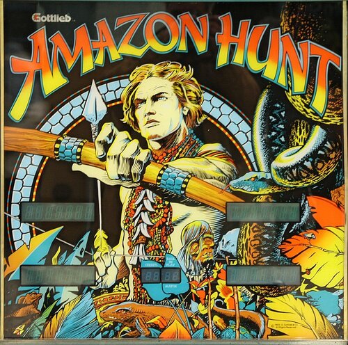 More information about "Amazon Hunt (Gottlieb 1983).B2S"