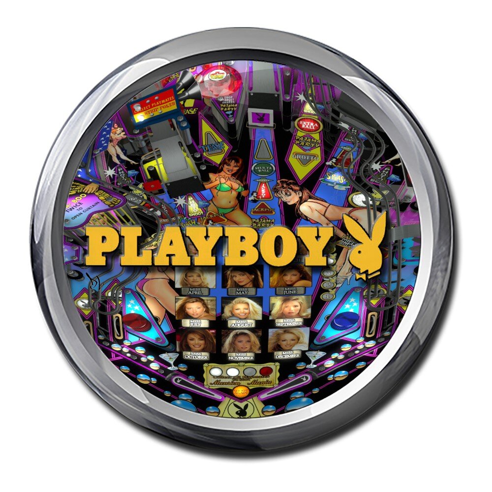 THE PLAYMATES プレイメイツ　10th ANNIVER. LIVE THE PLAYMATES プレイメイツ 10th ANNIVER. LIVE THE PLAYMATES