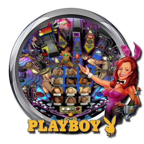 More information about "Playboy (Stern 2002)  (Wheel)"