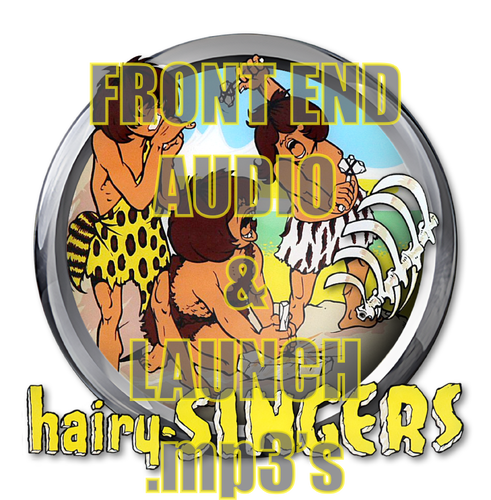 More information about "hairy SINGERS Front End AUDIO  & LAUNCH .mp3's"