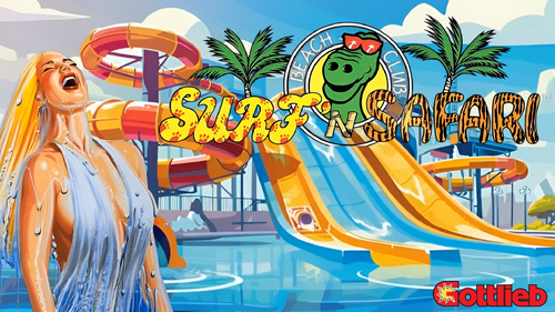More information about "Surf 'n Safari (Gottlieb 1991) Topper Video"