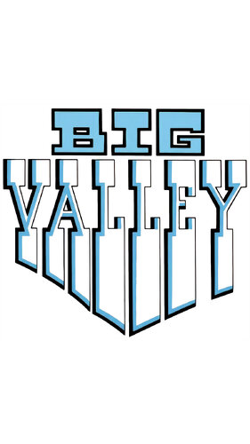 More information about "Big Valley (Bally 1970) clear wheel logo 4K"