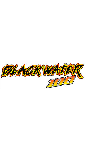 More information about "Blackwater 100 (Bally 1988) clear wheel logo 4K"
