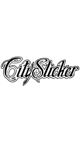 More information about "City Slicker (Bally 1987) clear wheel logo 4K"